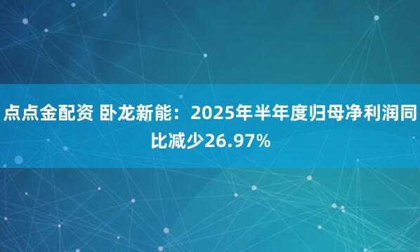 点点金配资 卧龙新能:2025年半年度归母净利润同比减少26.97%