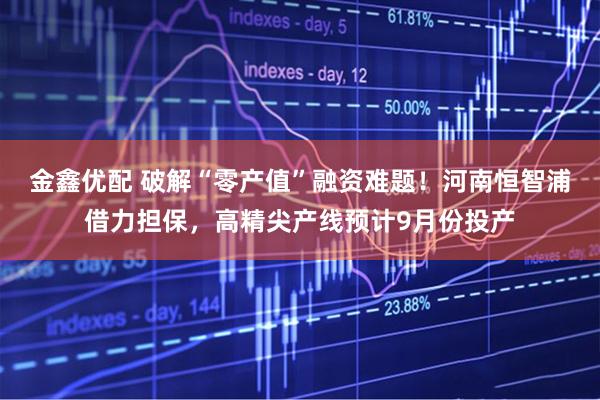 金鑫优配 破解“零产值”融资难题！河南恒智浦借力担保，高精尖产线预计9月份投产