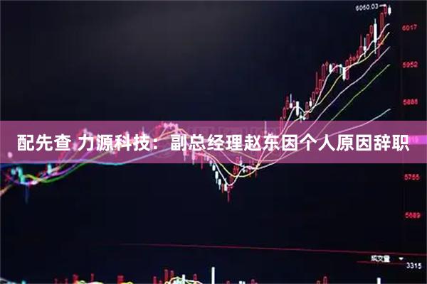 配先查 力源科技：副总经理赵东因个人原因辞职
