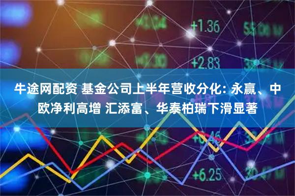牛途网配资 基金公司上半年营收分化: 永赢、中欧净利高增 汇添富、华泰柏瑞下滑显著