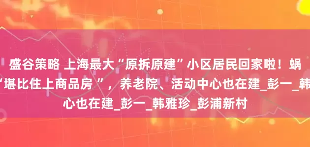 盛谷策略 上海最大“原拆原建”小区居民回家啦！蜗居换电梯房，“堪比住上商品房 ”，养老院、活动中心也在建_彭一_韩雅珍_彭浦新村