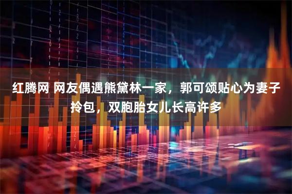 红腾网 网友偶遇熊黛林一家，郭可颂贴心为妻子拎包，双胞胎女儿长高许多